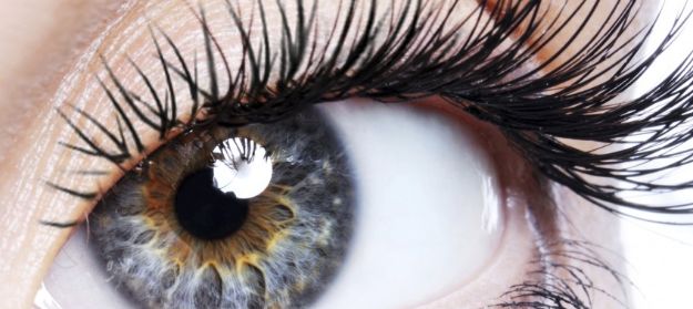 Cornea